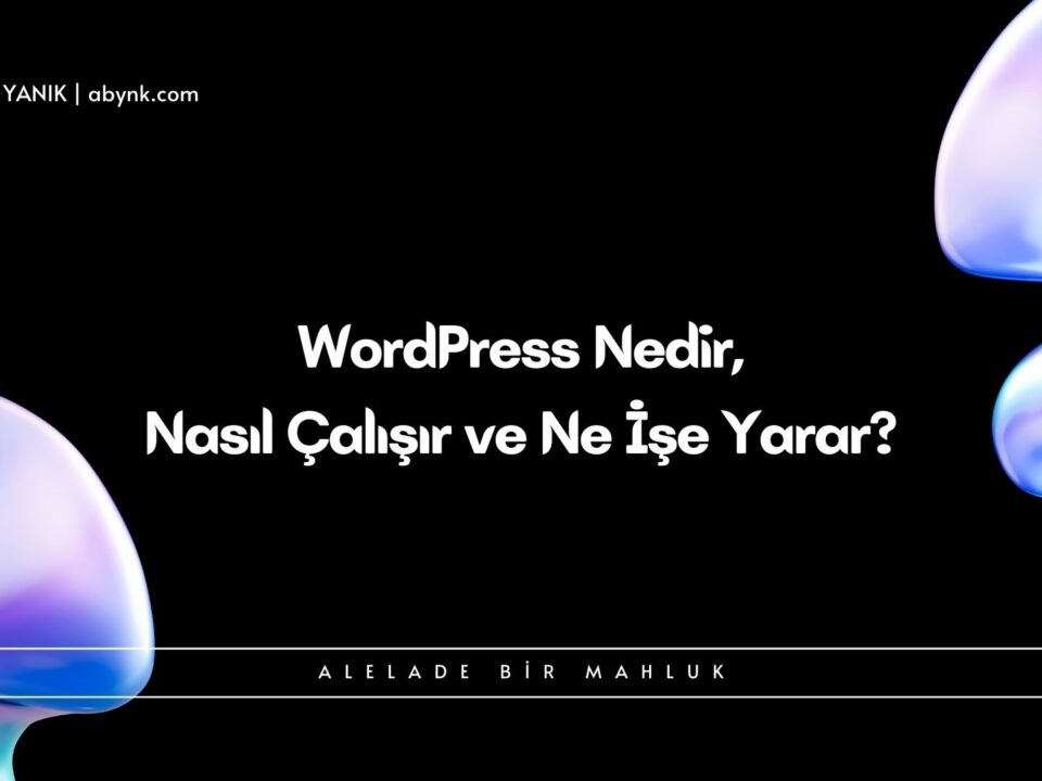 WordPress Nedir Nasil Calisir ve Ne Ise Yarar